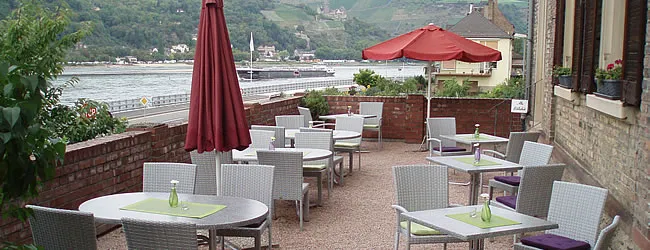 Weinreben in den Steillagen von Lorchhausen