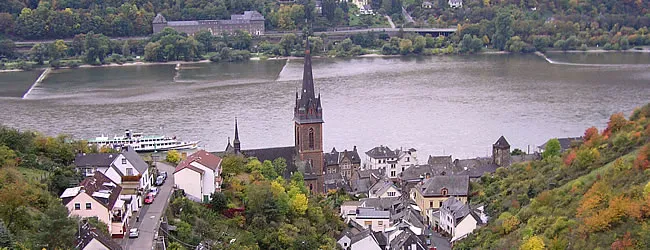 Weinberge in Lorchhausen am Rhein